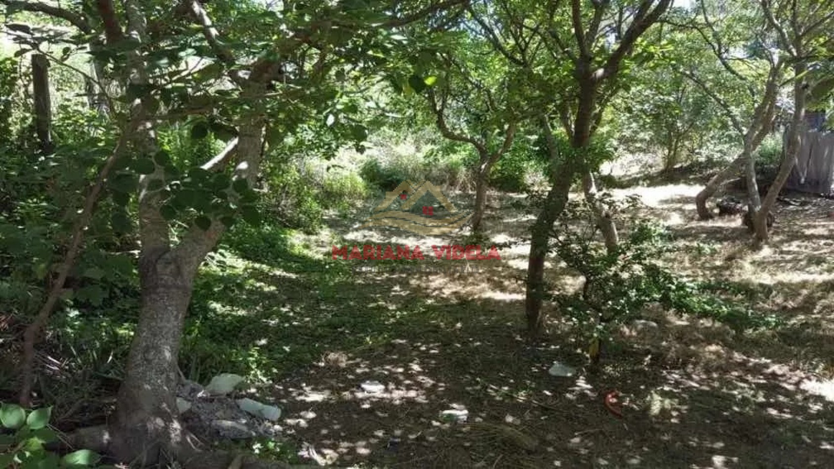 Terreno en venta en Mar de Ostende. Zona Residencial Unifamiliar.
