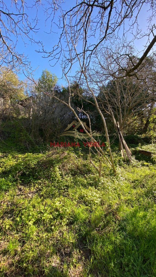 TERRENO EN VENTA EN CARILO. ZONA 2. FRENTE AL TENIS.