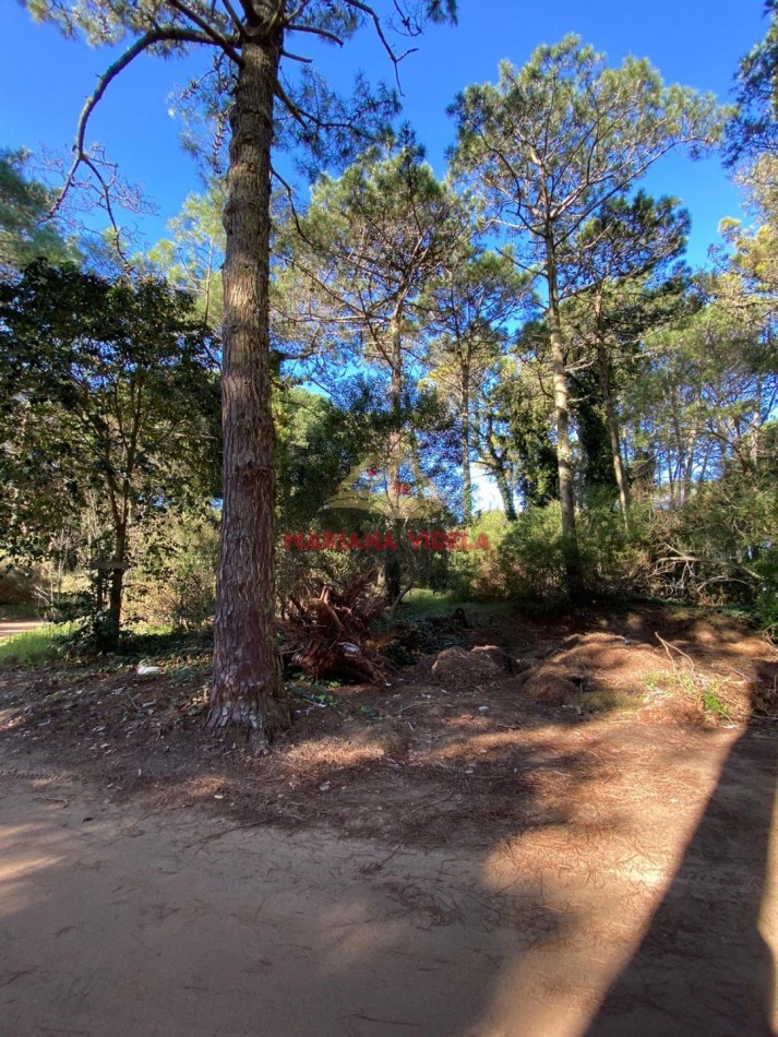TERRENO EN VENTA EN CARILO. ZONA 2. FRENTE AL TENIS.