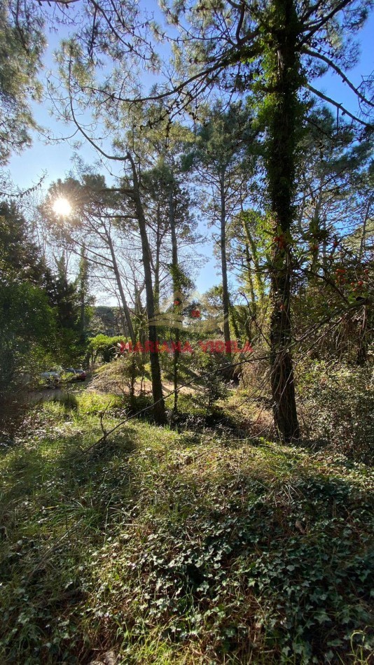 TERRENO EN VENTA EN CARILO. ZONA 2. FRENTE AL TENIS.