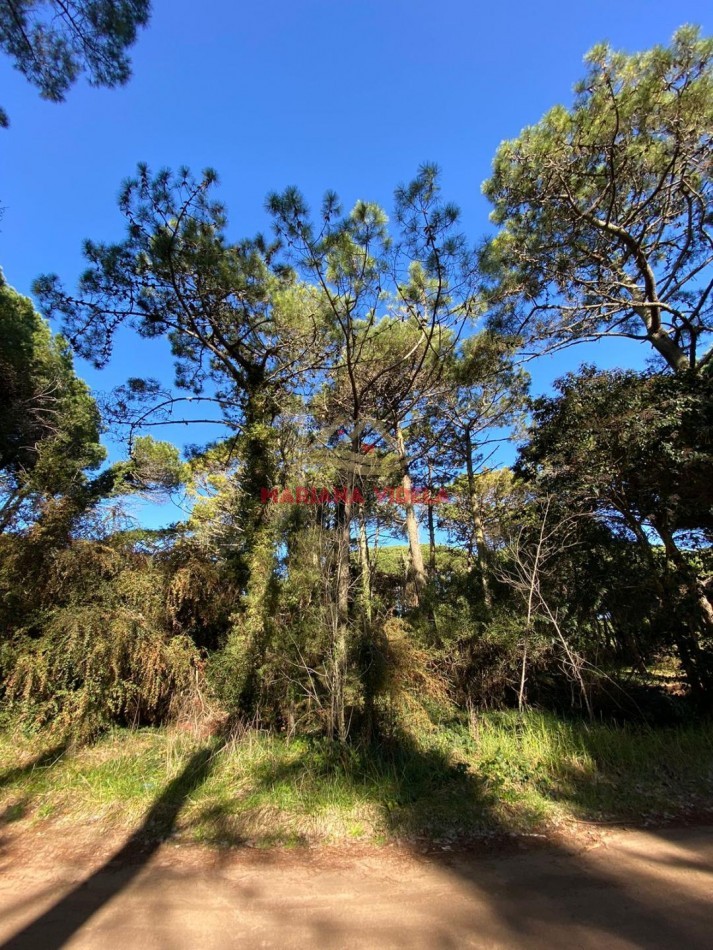 TERRENO EN VENTA EN CARILO. ZONA 2. FRENTE AL TENIS.