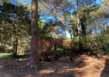 TERRENO EN VENTA EN CARILO. ZONA 2. FRENTE AL TENIS.