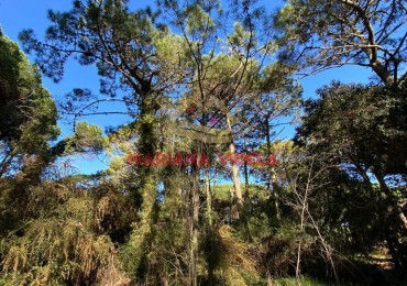 TERRENO EN VENTA EN CARILO. ZONA 2. FRENTE AL TENIS.